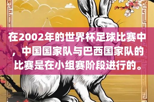 在2002年的世界杯足球比赛中，中国国家队与巴西国家队的比赛是在小组赛阶段进行的。