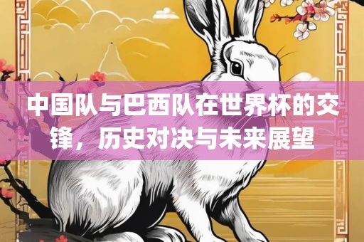 中国队与巴西队在世界杯的交锋，历史对决与未来展望