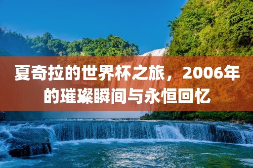 夏奇拉的世界杯之旅，2006年的璀璨瞬间与永恒回忆