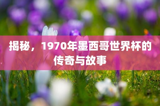 揭秘，1970年墨西哥世界杯的传奇与故事