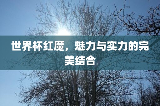 世界杯红魔，魅力与实力的完美结合