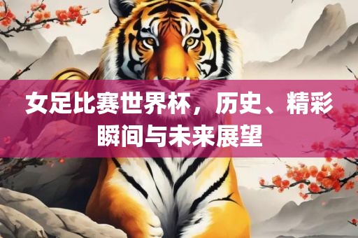 女足比赛世界杯，历史、精彩瞬间与未来展望
