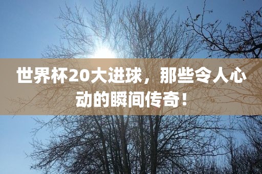 世界杯20大进球，那些令人心动的瞬间传奇！