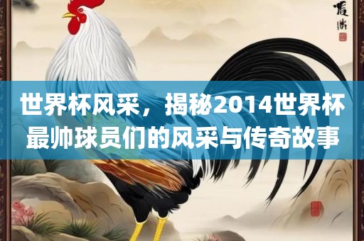 世界杯风采，揭秘2014世界杯最帅球员们的风采与传奇故事