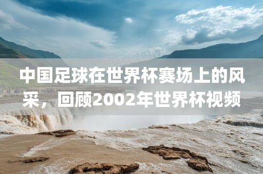 中国足球在世界杯赛场上的风采，回顾2002年世界杯视频
