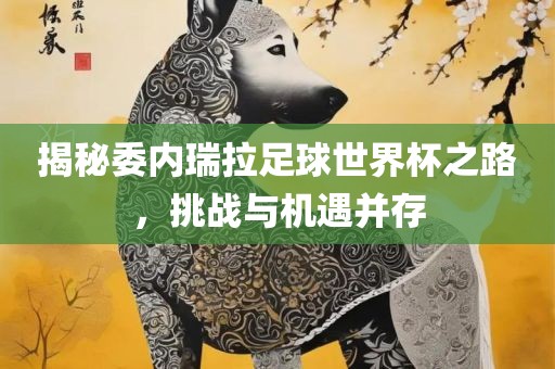 揭秘委内瑞拉足球世界杯之路，挑战与机遇并存