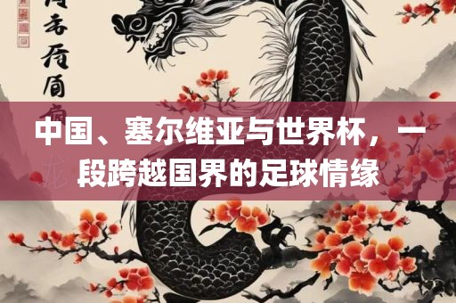 中国、塞尔维亚与世界杯，一段跨越国界的足球情缘