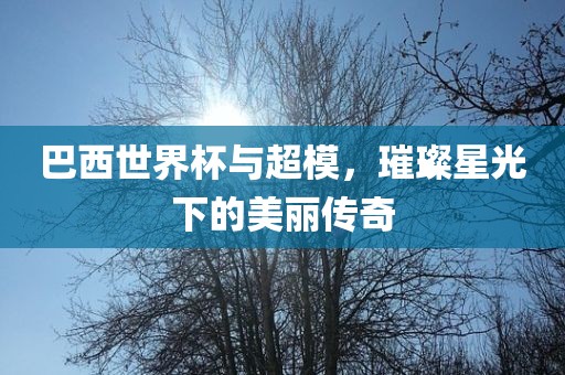 巴西世界杯与超模，璀璨星光下的美丽传奇