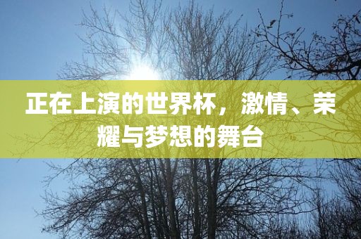正在上演的世界杯，激情、荣耀与梦想的舞台