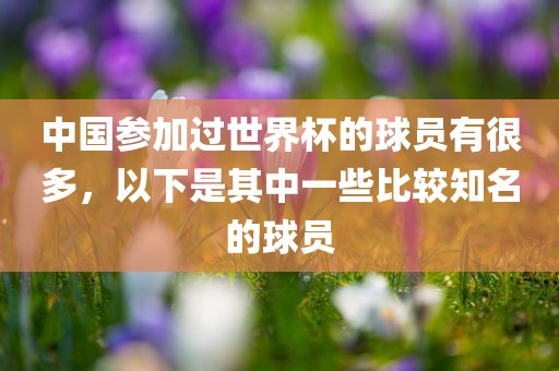 中国参加过世界杯的球员有很多，以下是其中一些比较知名的球员