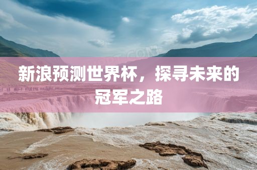 新浪预测世界杯，探寻未来的冠军之路