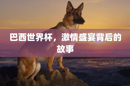 巴西世界杯，激情盛宴背后的故事