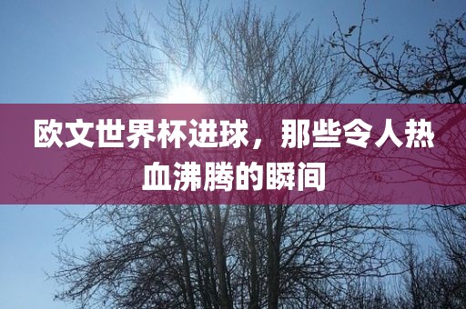 欧文世界杯进球，那些令人热血沸腾的瞬间
