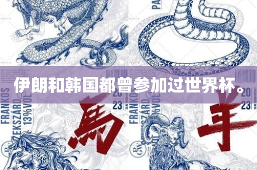 伊朗和韩国都曾参加过世界杯。