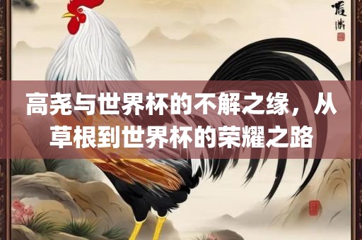 高尧与世界杯的不解之缘，从草根到世界杯的荣耀之路