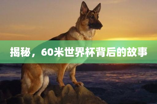 揭秘，60米世界杯背后的故事
