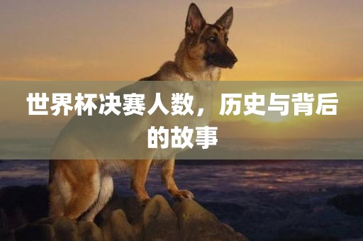 世界杯决赛人数，历史与背后的故事