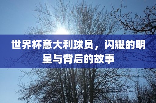 世界杯意大利球员，闪耀的明星与背后的故事