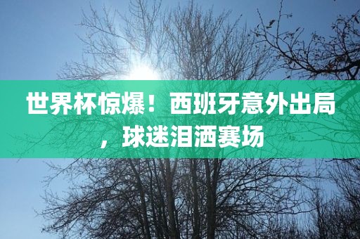 世界杯惊爆！西班牙意外出局，球迷泪洒赛场