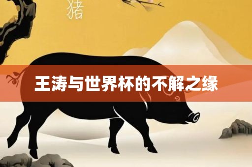 王涛与世界杯的不解之缘