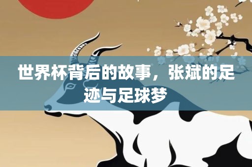 世界杯背后的故事，张斌的足迹与足球梦
