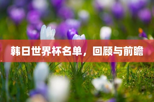 韩日世界杯名单，回顾与前瞻