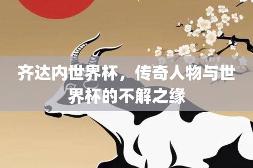 齐达内世界杯，传奇人物眉山市正发家政服务有限公司与世界杯的不解之缘