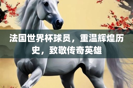 法国世界杯球员，重温辉煌历史，致敬传奇英雄