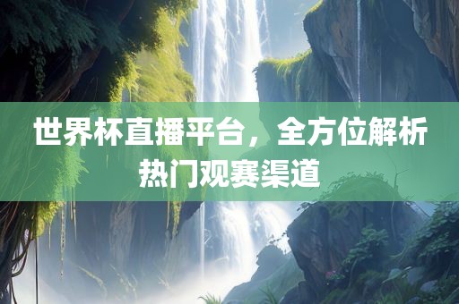 世界杯直播平台，全方位解析热门观赛渠道眉山市正发家政服务有限公司