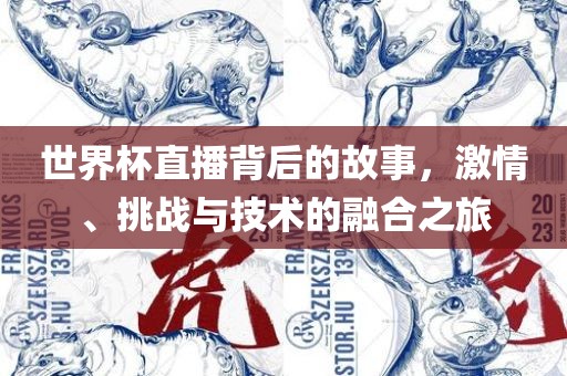 世界杯直播背后的故事，激情、挑战与技术的融合之旅眉山市正发家政服务有限公司
