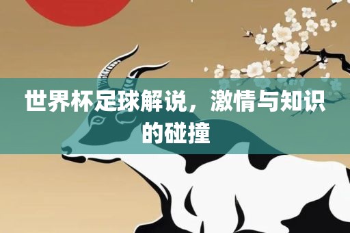 世界杯足球解说，激情与知识的碰撞
