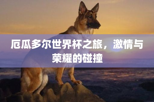 厄瓜多尔世界杯之旅，激情与荣耀的碰撞眉山市正发家政服务有限公司