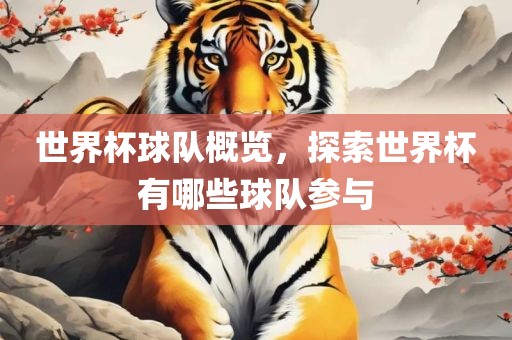 世界杯球队概览，探索世界杯有哪些球队参与