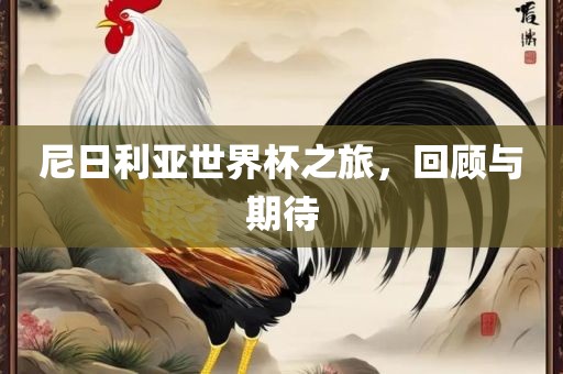眉山市正发家政服务有限公司尼日利亚世界杯之旅，回顾与期待