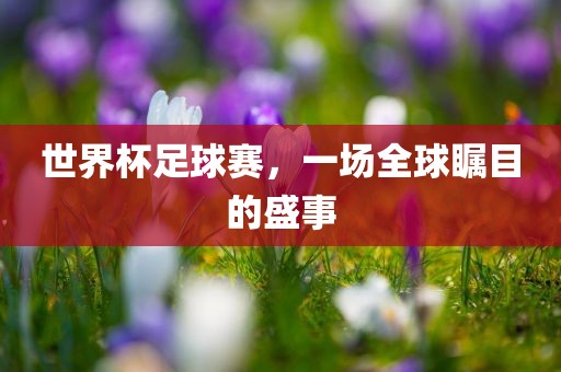世界杯足球赛，一场全球瞩目的盛事眉山市正发家政服务有限公司