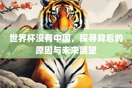 世界杯没有中国，探寻背后的原因与未来展望