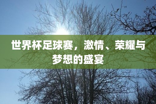 世界杯足球赛 第15页
