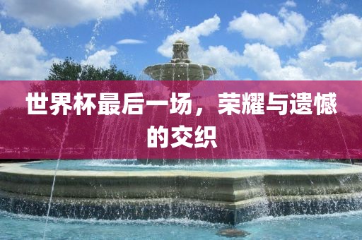 世界杯最后一场，荣耀与遗憾的交织眉山市正发家政服务有限公司