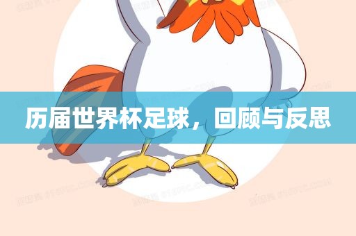 眉山市正发家政服务有限公司历届世界杯足球，回顾与反思