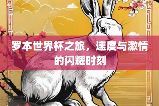 罗本世界杯之旅，速度与激情的闪耀时刻眉山市正发家政服务有限公司