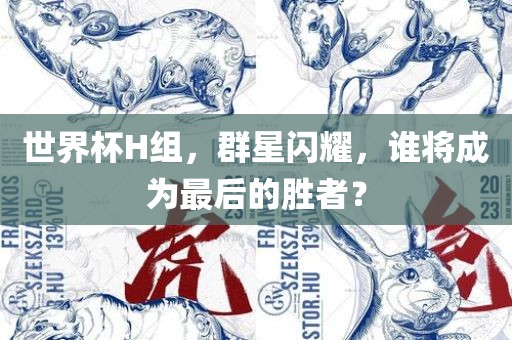 世界杯H组，群星闪耀，谁将成为最后的胜者？