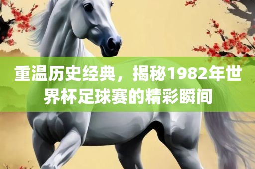 重温历史经典，揭秘1982年世界杯足球赛眉山市正发家政服务有限公司的精彩瞬间