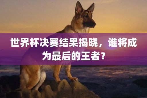 世界杯决赛结果揭晓，谁将成为最后的王者？眉山市正发家政服务有限公司
