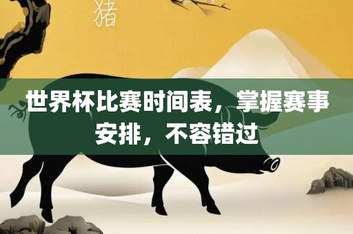 世界杯比赛时间表，掌握赛事安排，不容错过