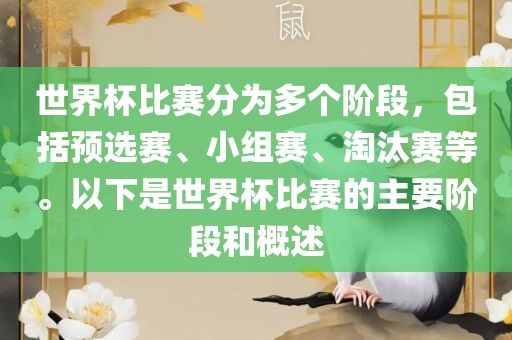 世界杯比赛分为多个阶段，包括预选赛、小组赛、淘汰赛等。以下是世界杯比赛的主要阶段和概述