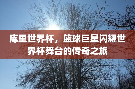 库里世界杯，篮球巨星闪耀世界杯舞台的传奇之旅