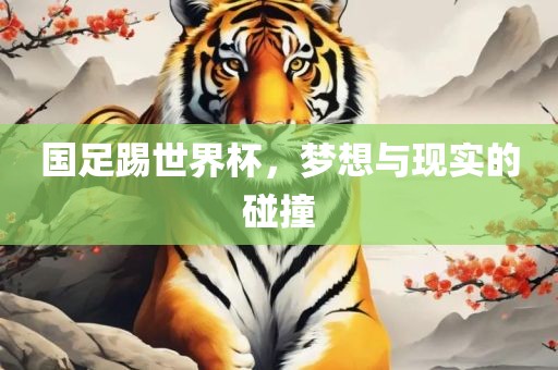国足踢世界杯，梦想与现实的碰撞