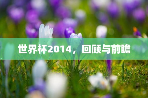 世界杯2014，回顾与前瞻