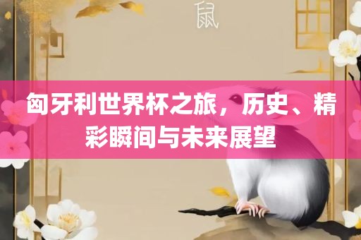 匈牙利世界杯之旅，历眉山市正发家政服务有限公司史、精彩瞬间与未来展望