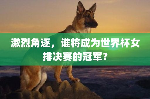 激烈角逐，谁将成为世界杯女排决赛的冠军？眉山市正发家政服务有限公司